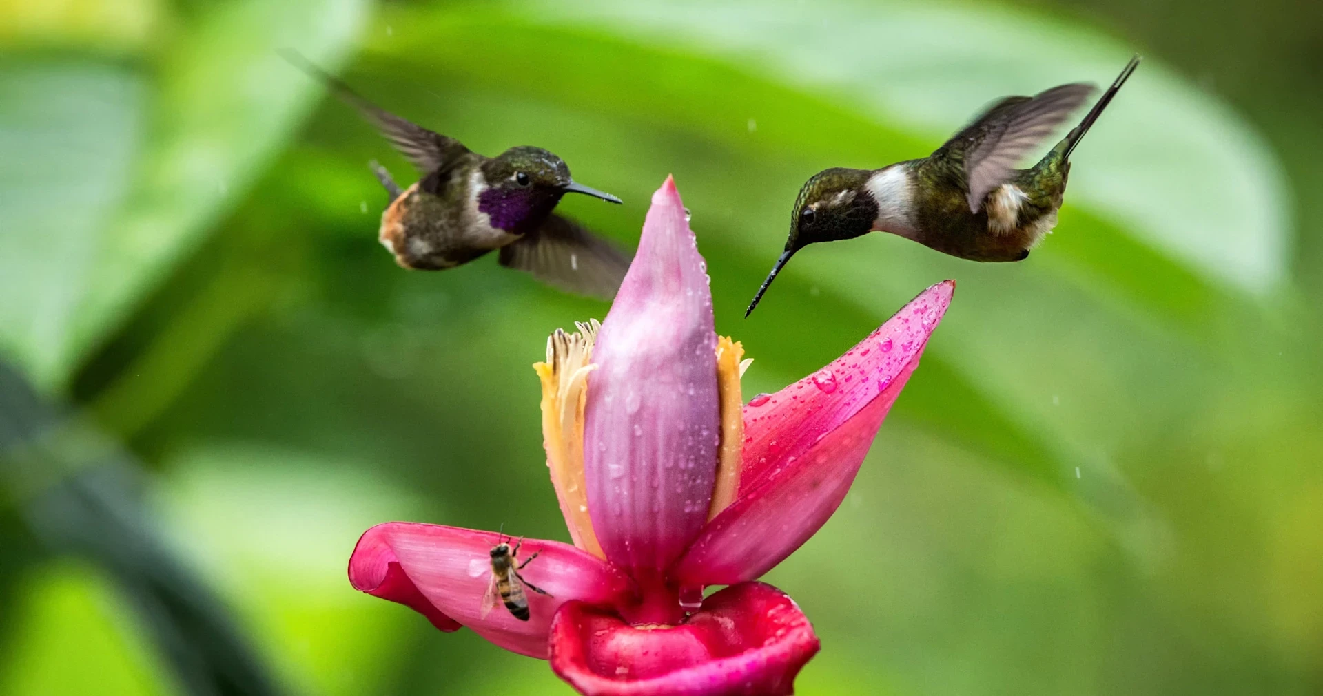 Are product managers ready for value-based product development?