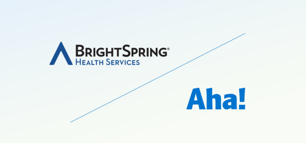 Bright spring health services