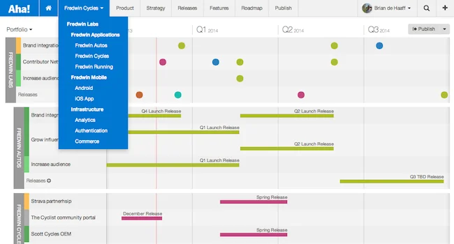 Portfolio roadmap planning — product lines and initiatives