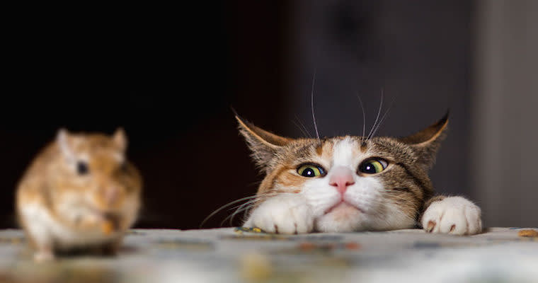 The Problem With Keeping Your Resume "Current"