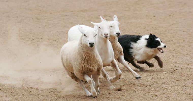 5 Skills You Need to Lead Enterprise Transformation