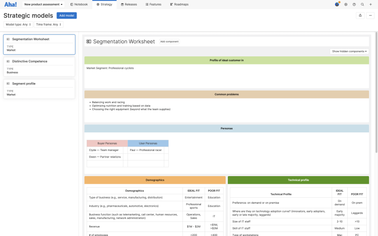 Aha! Roadmaps segment model customized to match the Pragmatic Segmentation Worksheet.