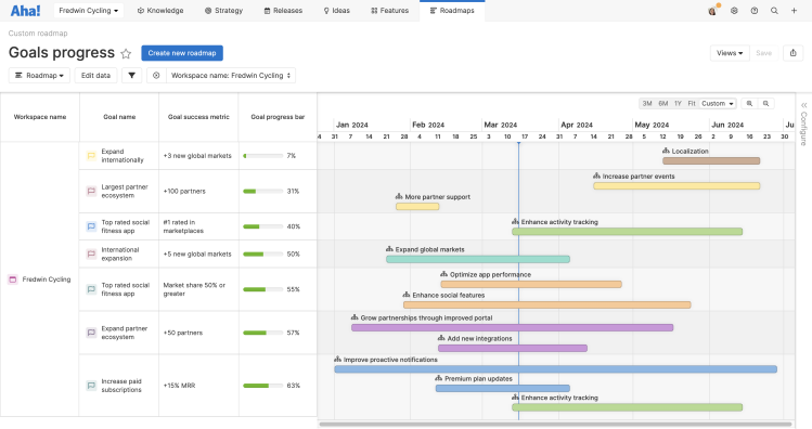 A custom roadmap created in Aha! software that shows progress on goals across a workspace
