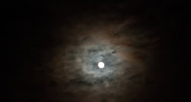 Should Your Startup Take a Moonshot?