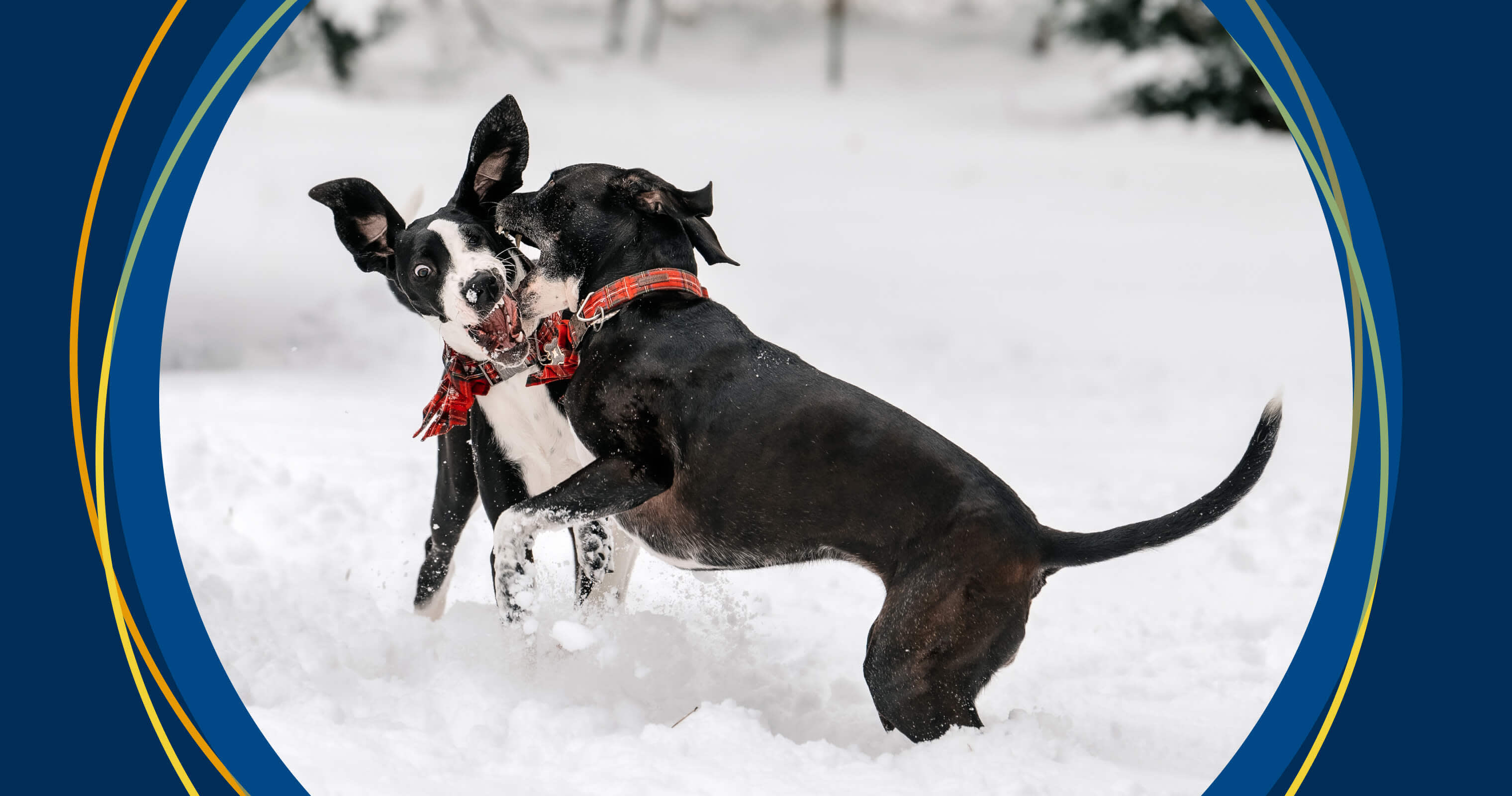 Related content image - The surprising ways teams do product discovery