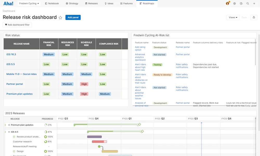 Aha! software use case — Identify delivery risks