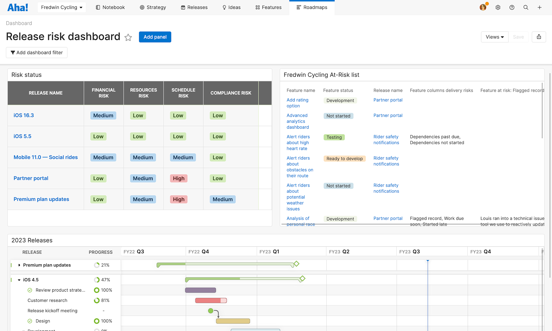 Layout Show Delivery Risks Aha! software use case — Identify delivery risks