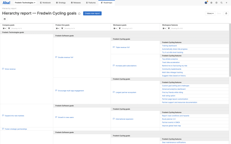 Hierarchy report showing company, product line, and product goals and features.