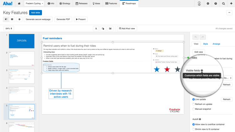 Just Launched! — Customize How Views Are Displayed in Aha! Presentations