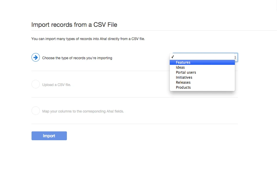 Blog - Get Your Product Roadmap Out of Excel and Into Aha! - inline image