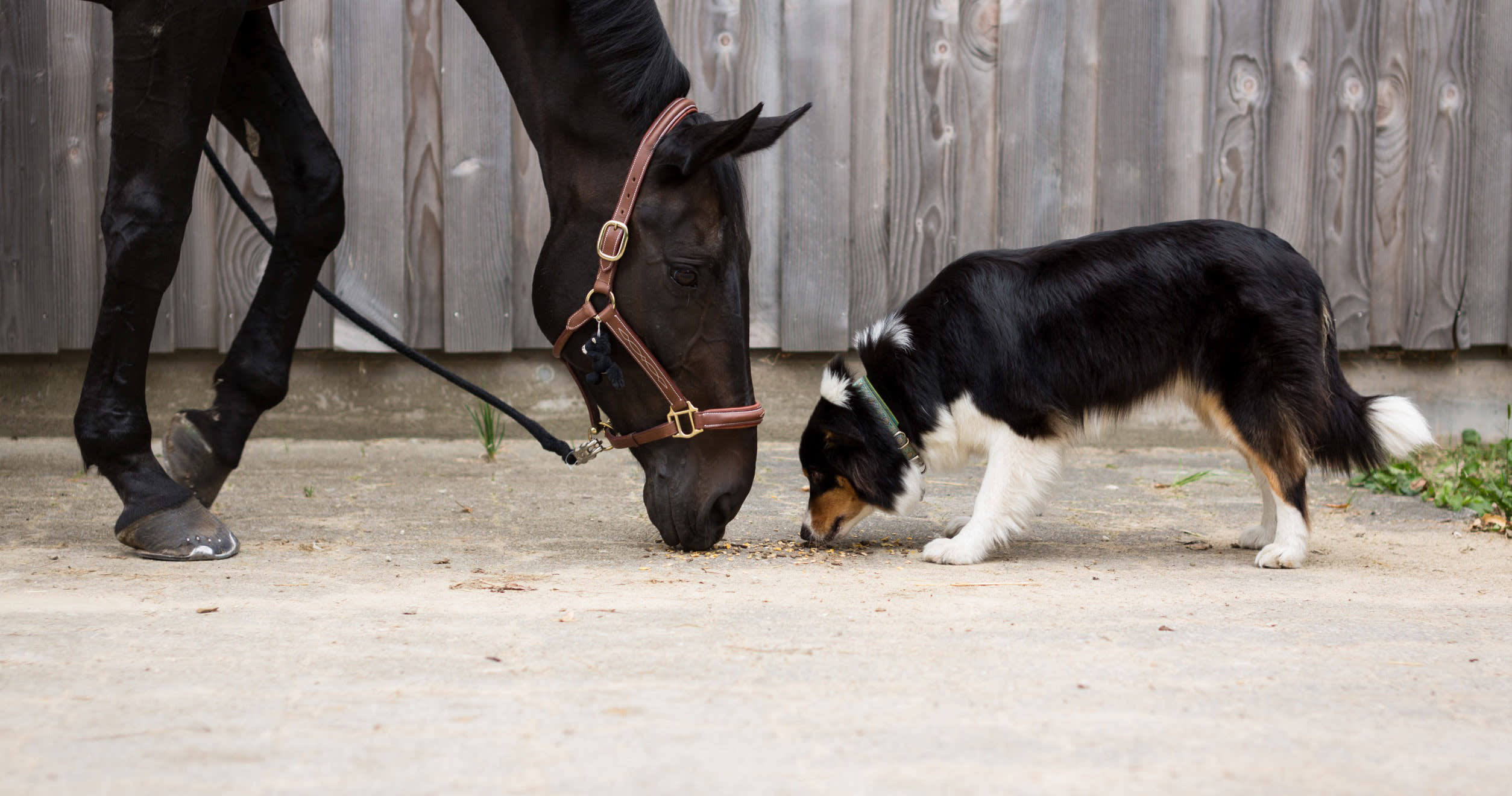 Product manager vs. UX designer: Who should be in charge?