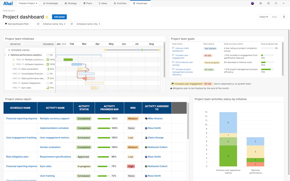 Program Management Progress Aha! software use case — Project management teams
