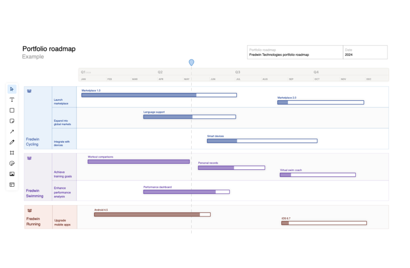 Portfolio roadmap