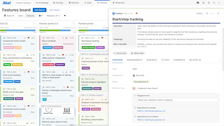 Delivery risks on details drawer in Aha! Roadmaps