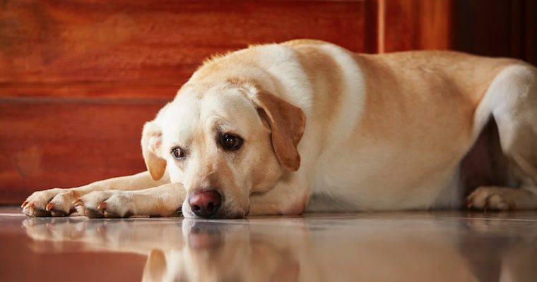 Your Boss Should Never Tell You to “Care Less”