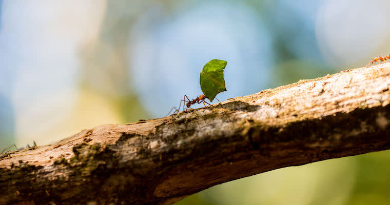 Why Strategic Thinking Is So Hard for Product Managers
