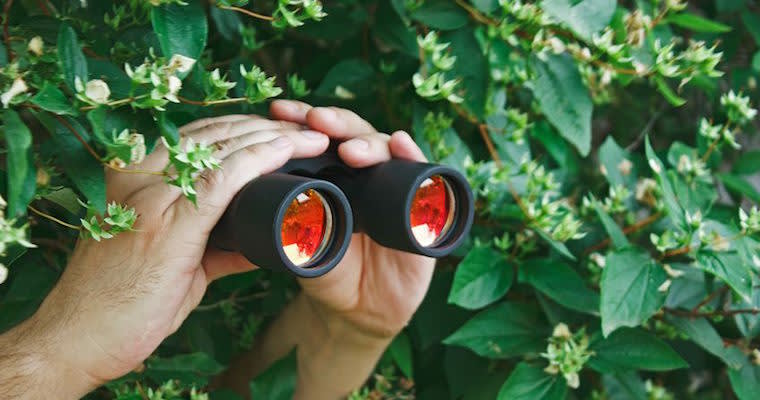 Why I Love Micromanagers