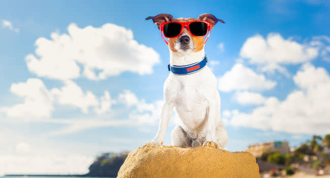 The One Secret of Highly Successful Leaders