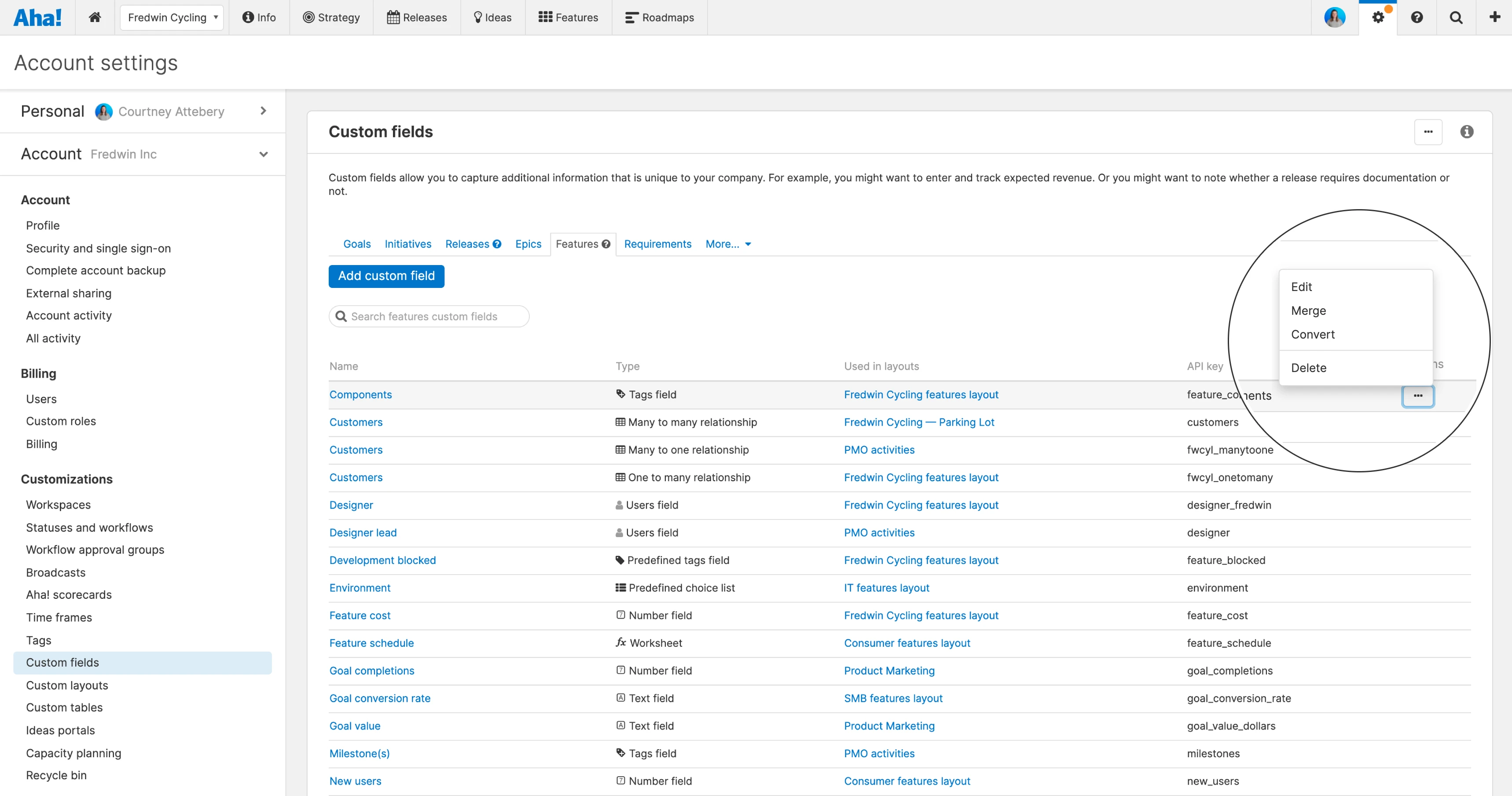 Support - convert and merge custom fields