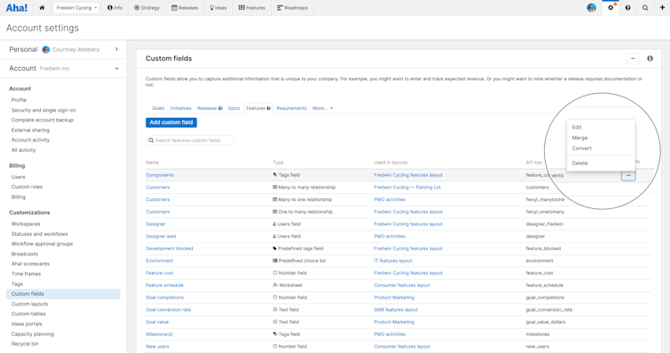 Support - convert and merge custom fields