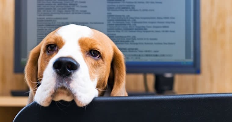 Hey Boss: I Am Begging You to Let Me Work From Home
