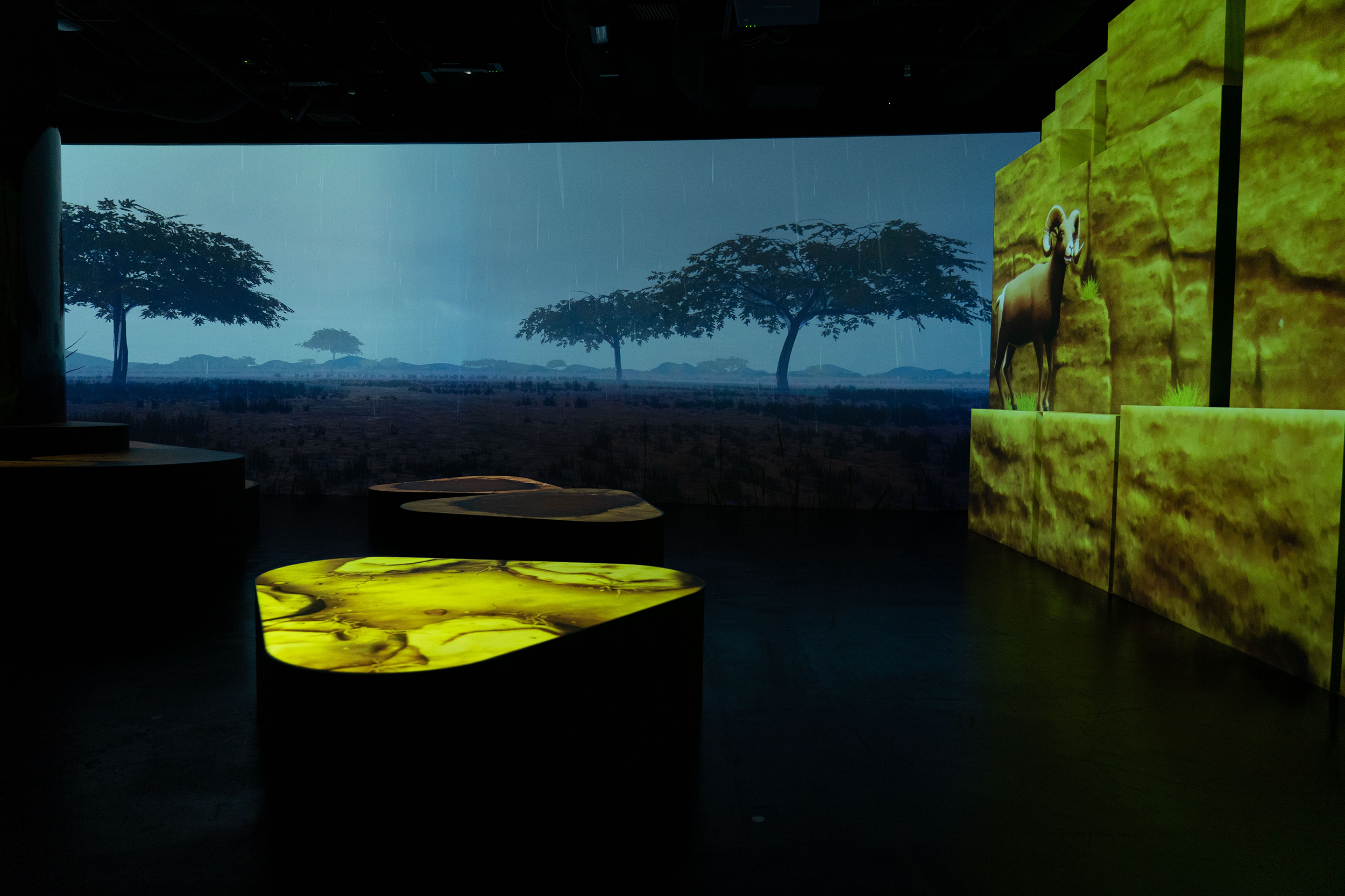 Zukan Museum web image 1