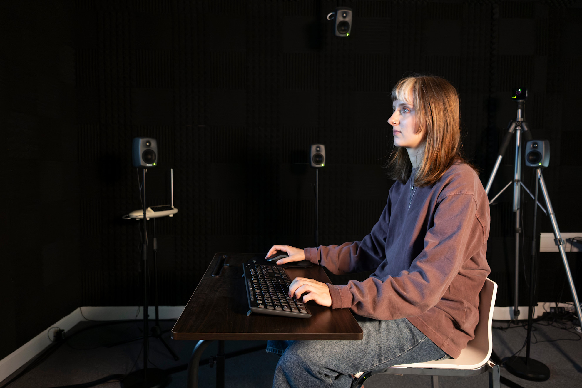 GSA web image 4