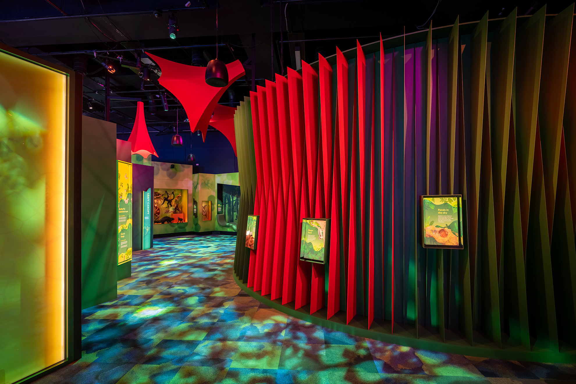 Melbourne Museum web image 4