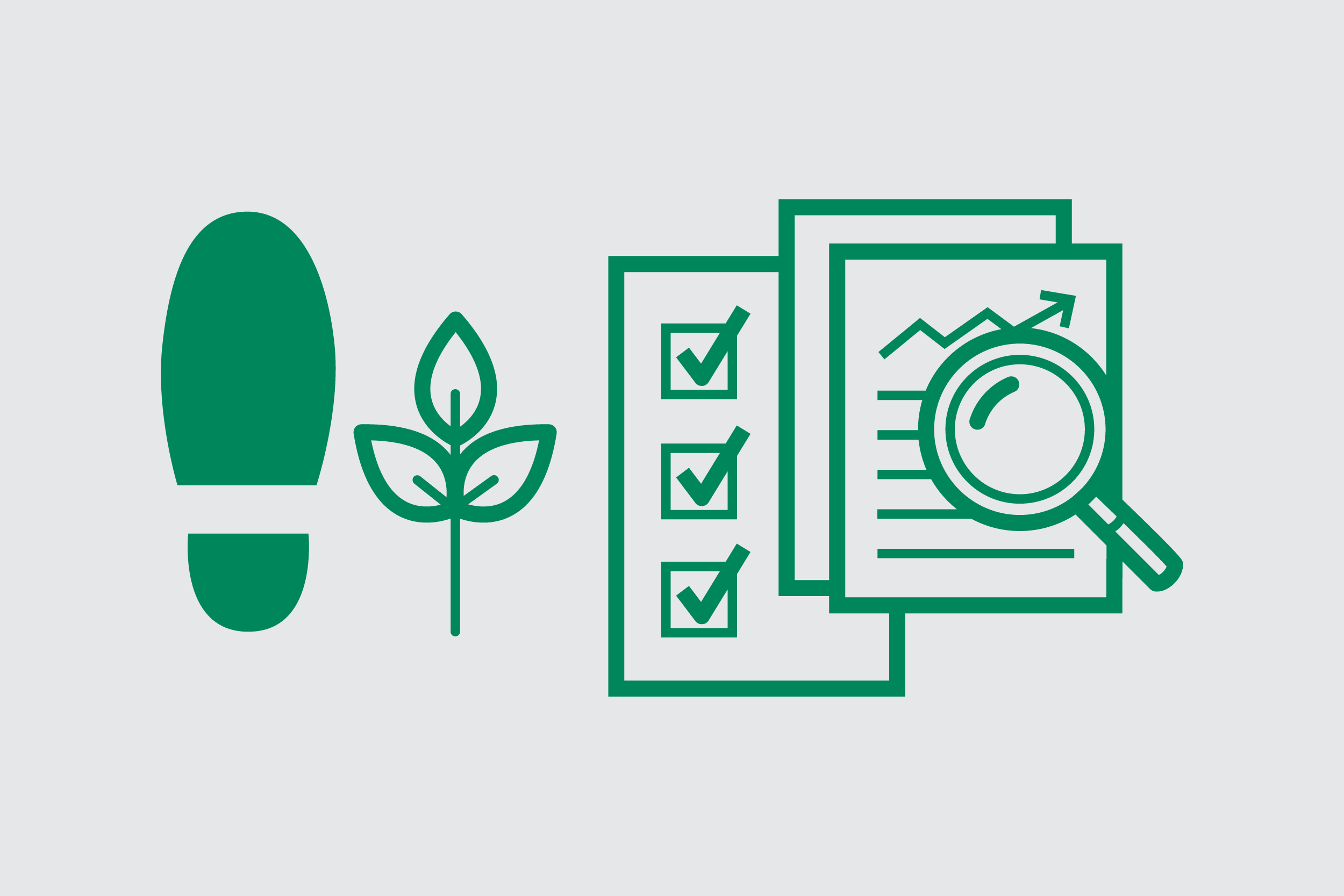 Carbon Emission Tracking