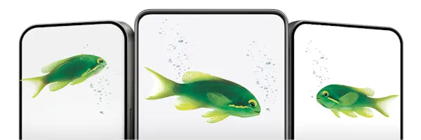 Three smartphones in a row, each containing a small green fish and bubbles.