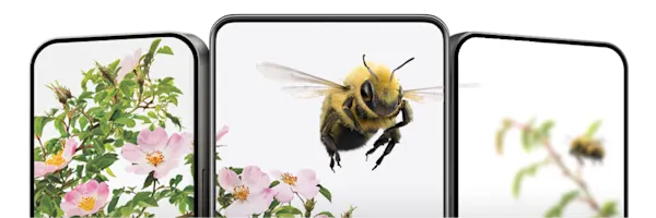 Trois téléphones intelligents disposés côte à côte avec des écrans affichant un léopard des neiges.