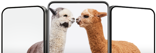 Three smartphones arranged side by side displaying screens, with two alpacas nose to nose.