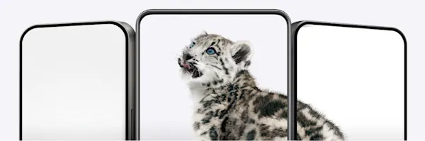 Three smartphones arranged side by side with screens displaying a snow leopard.