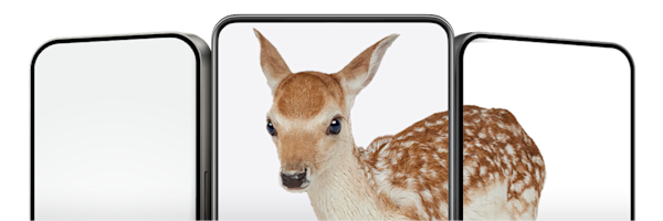 Three smartphones displaying an image of two brown fawns nuzzling together.