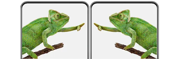 Two smartphones arranged side by side. They each display a green chameleon perched on a stick, reaching towards each other.