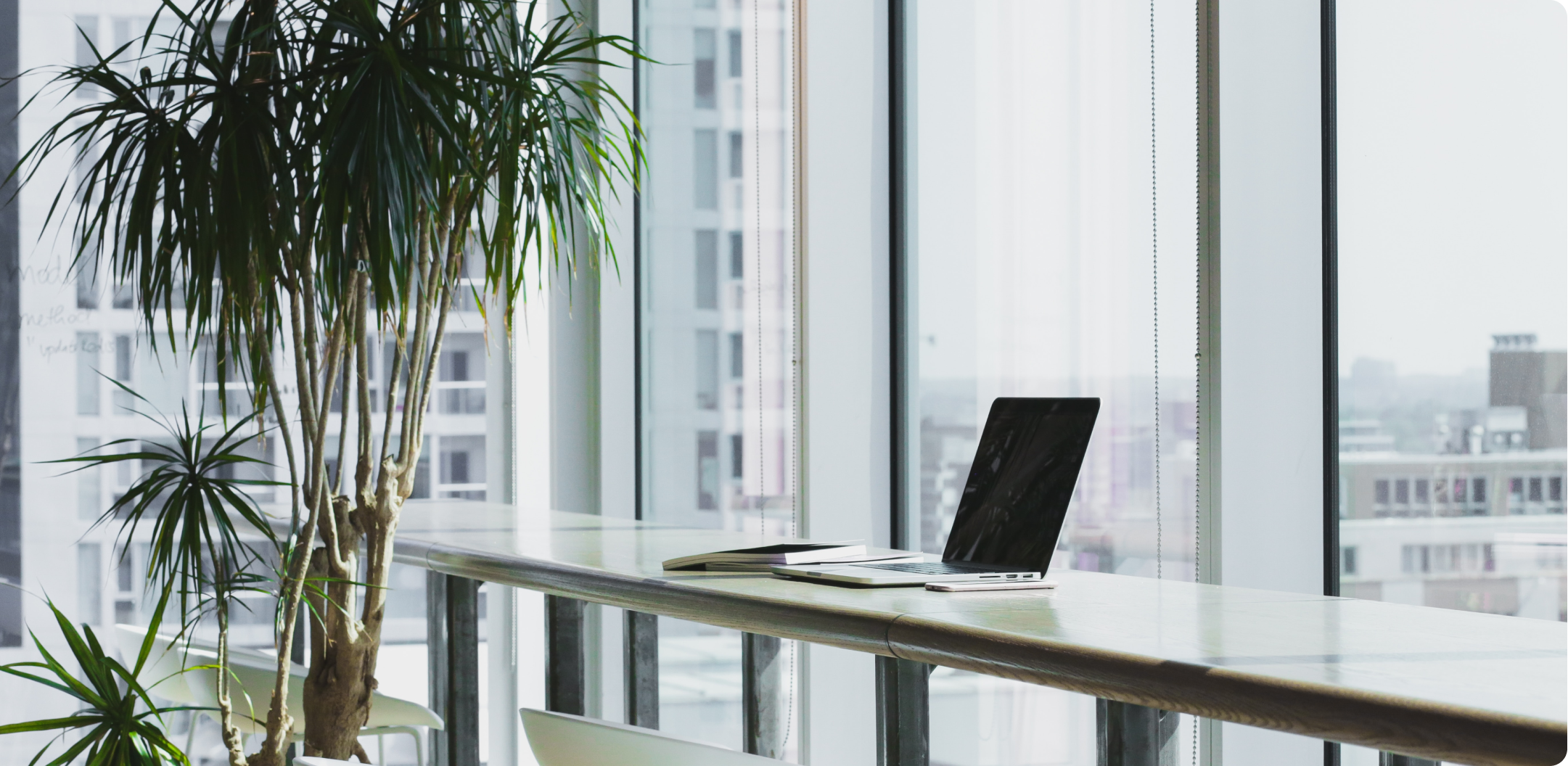 7 einfache & praktische Tipps für ein nachhaltigeres Büro