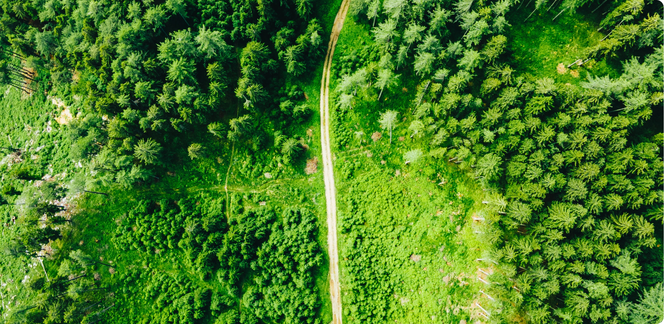 Nachhaltigkeit im Unternehmen mit Green IT