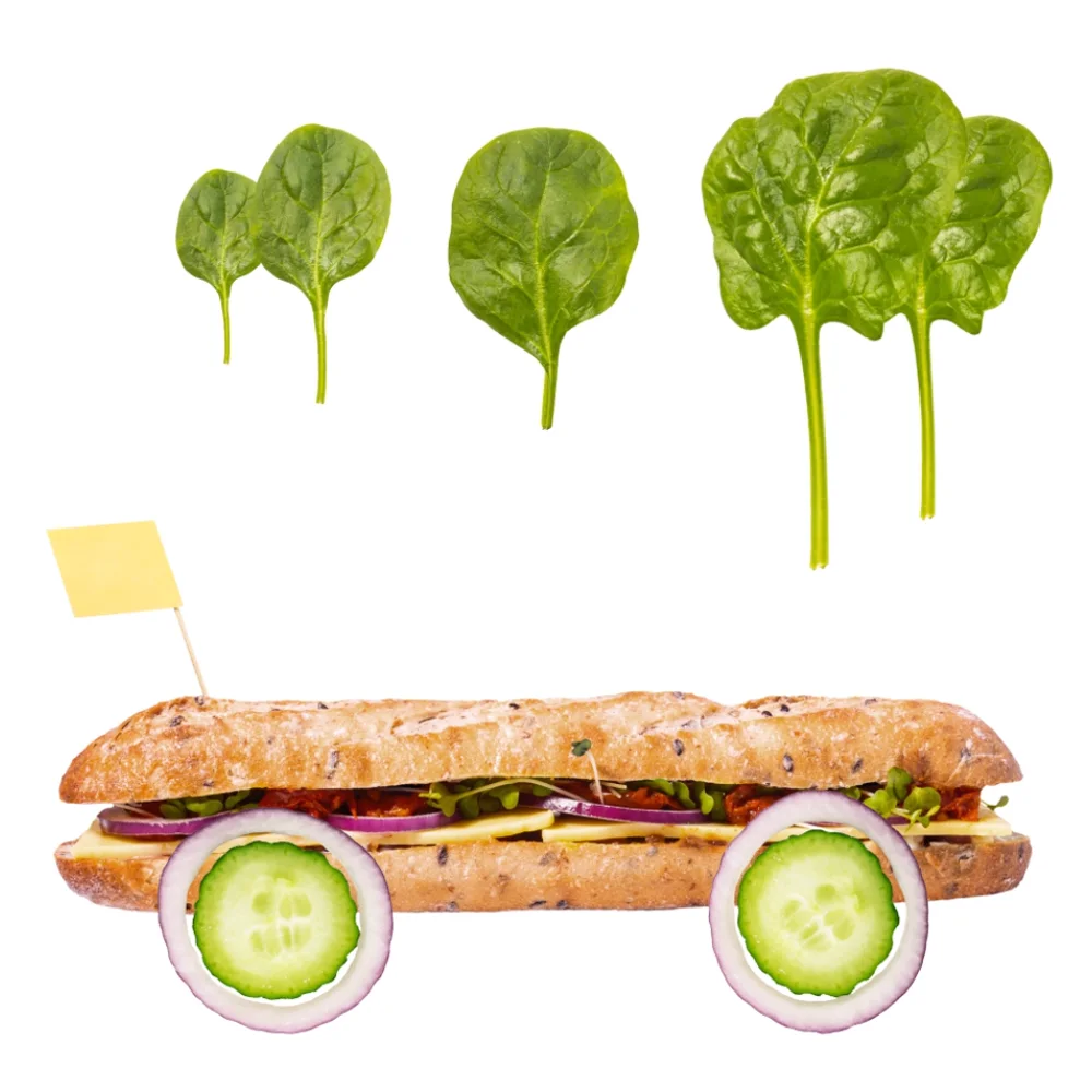 وجبات طازجة