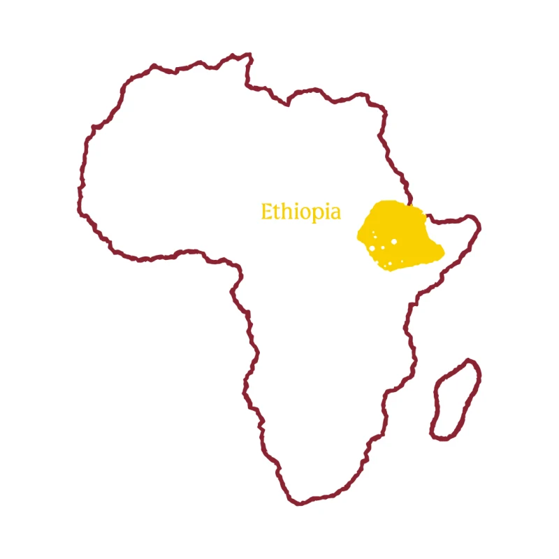 Pret's Organic Single Origin: Ethiopia
