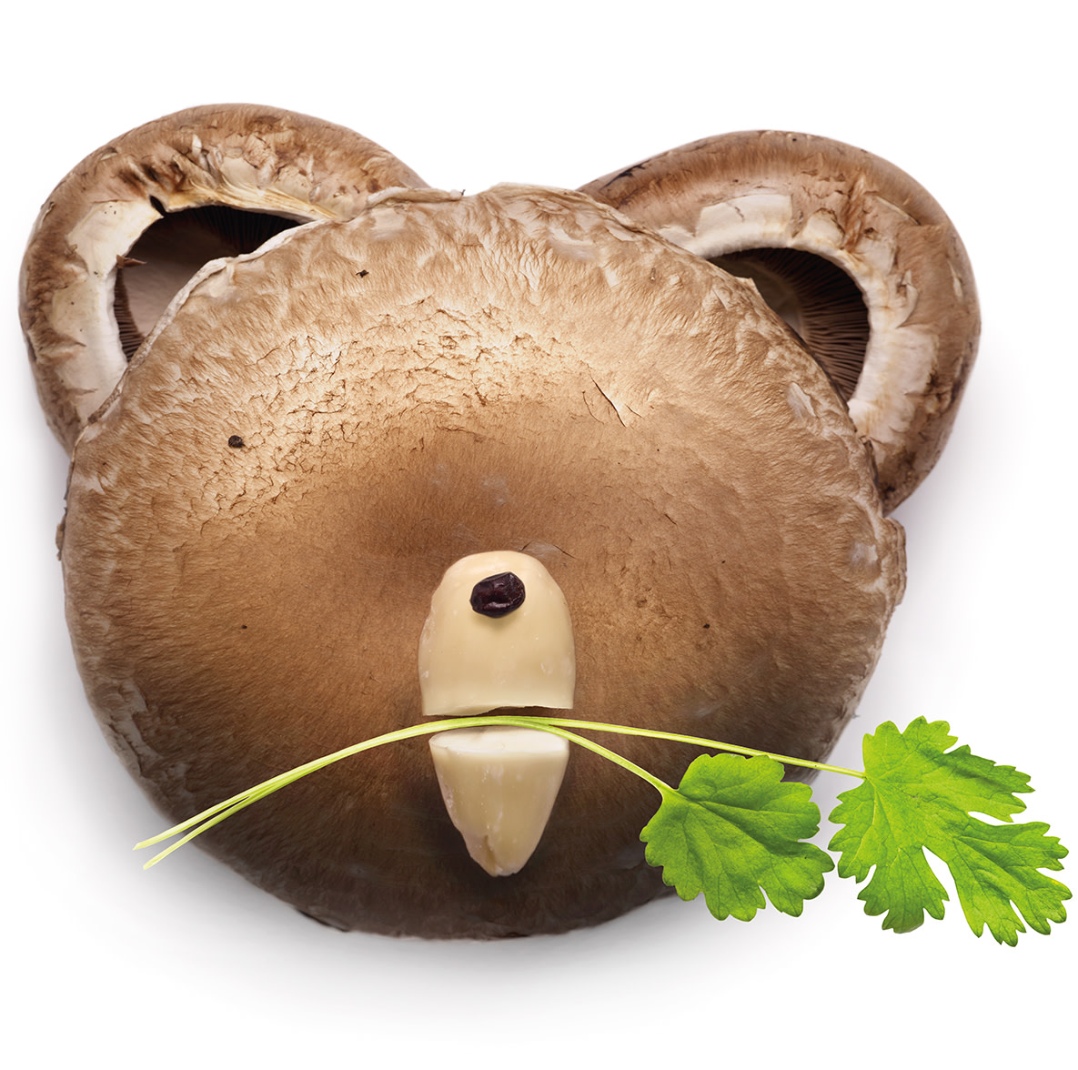 An image of a bear's face made out of mushrooms, with a piece of coriander in his mouth. 