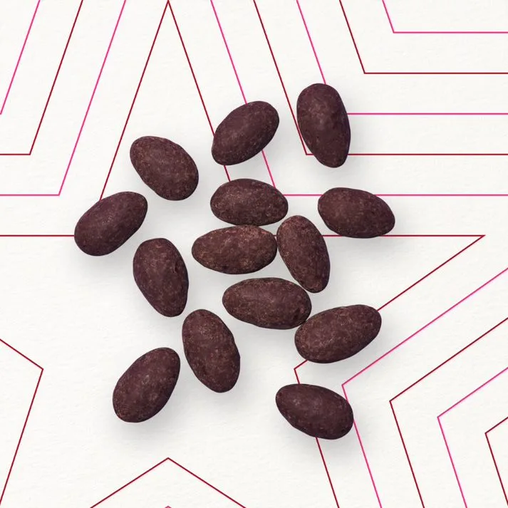 Dark Chocolate Salted Almonds
