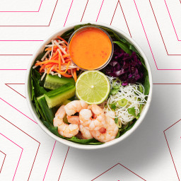 Vietnamese-Style Prawn Noodle Salad