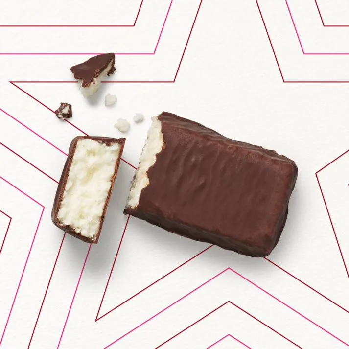 Chocolatey Coconut Bite