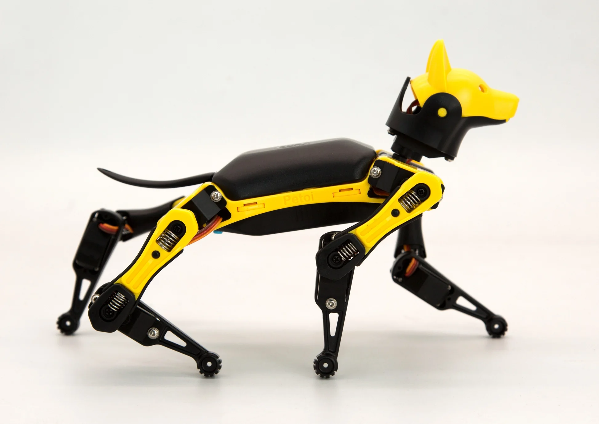 Petoi Bittle Robot Dog Review 