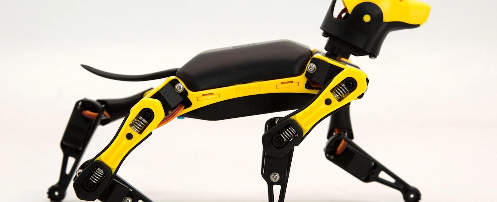 Petoi Bittle Robot Dog Review