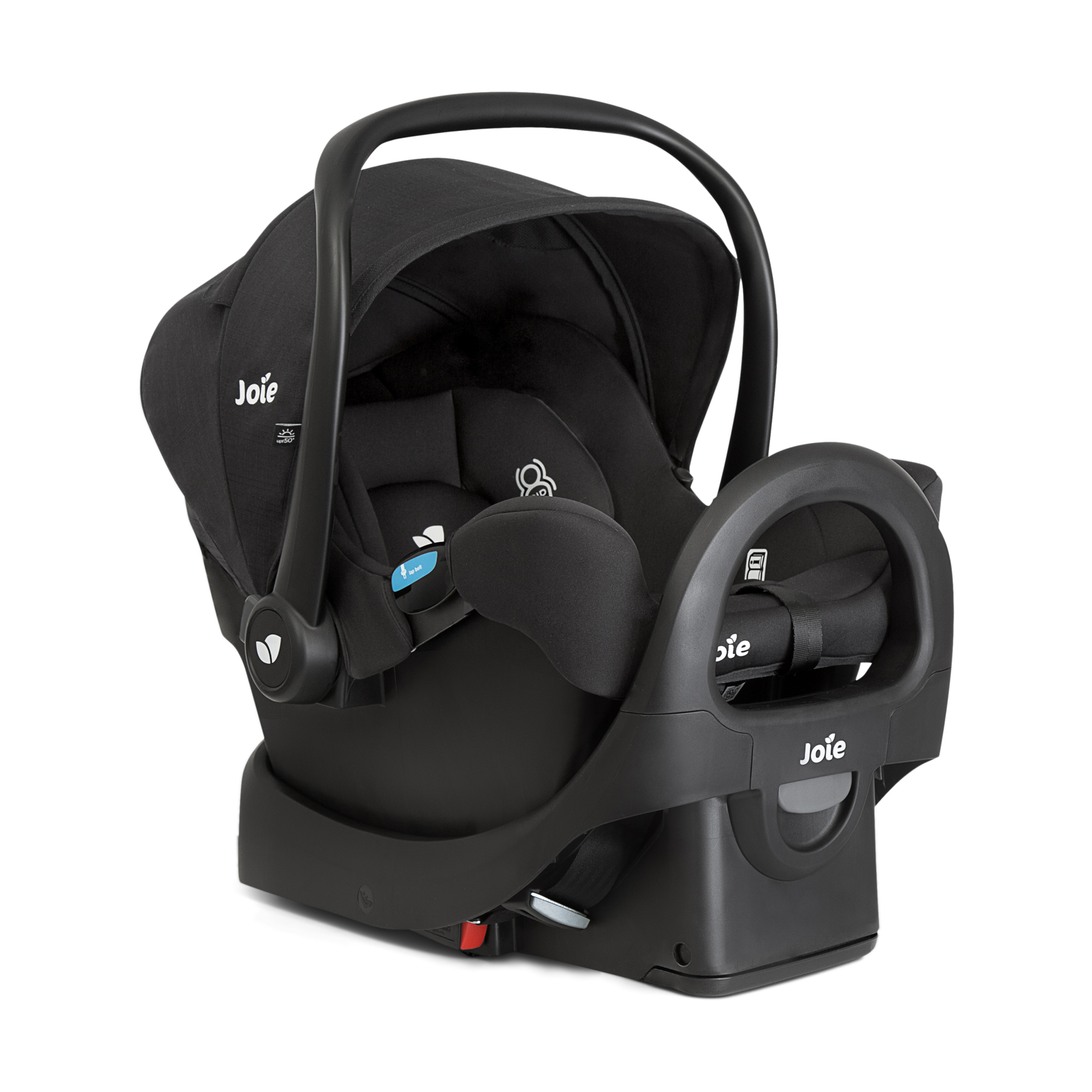 Joie Ginger And Rue - Shale Dark.