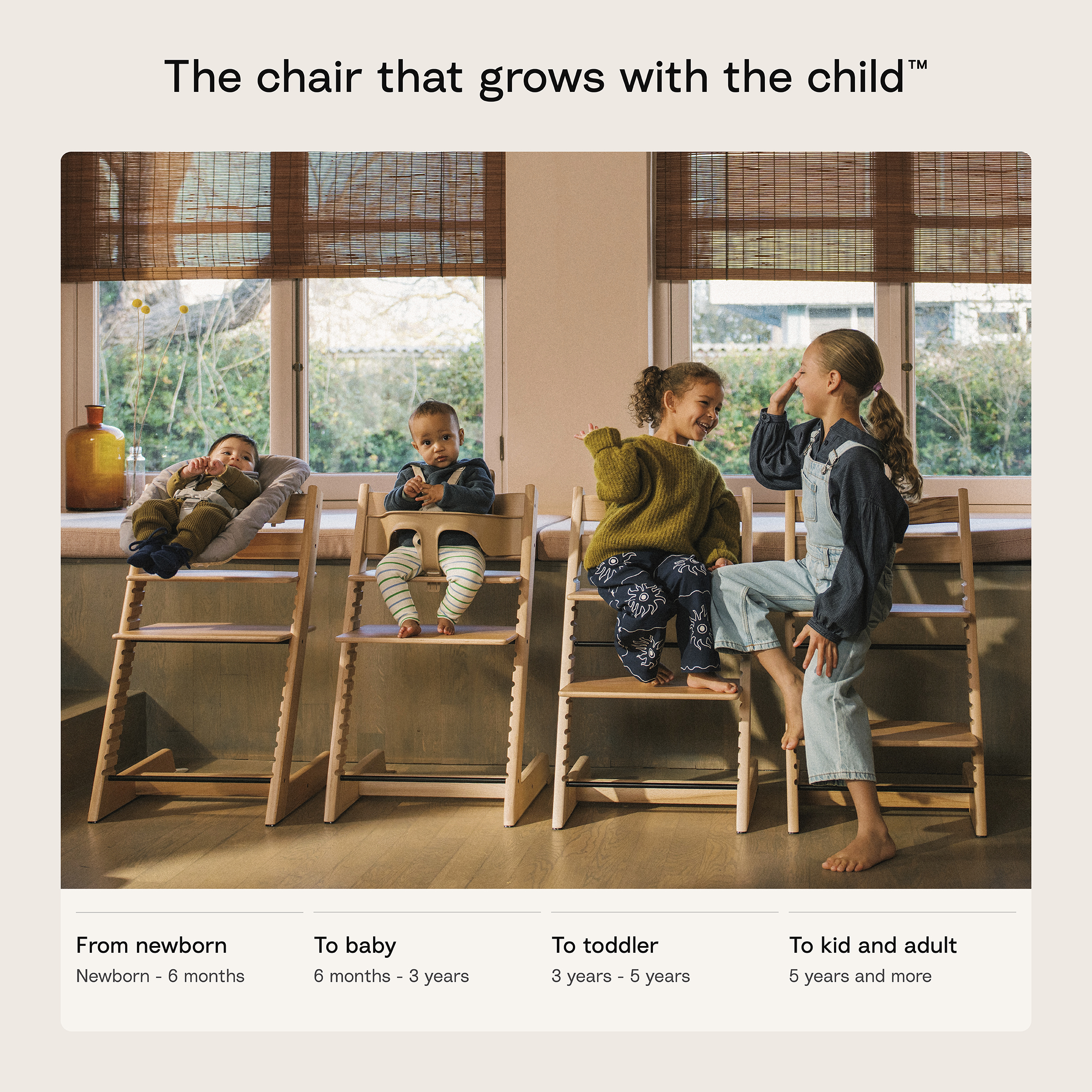 Product Image 3.