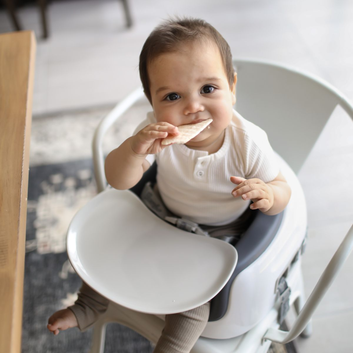 bumbo highchair