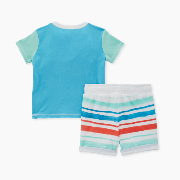 Burt's Bees Baby Organic Cotton Color Blocked Tee & French Terry Short Set - Blue Color Blocked, Newborn.