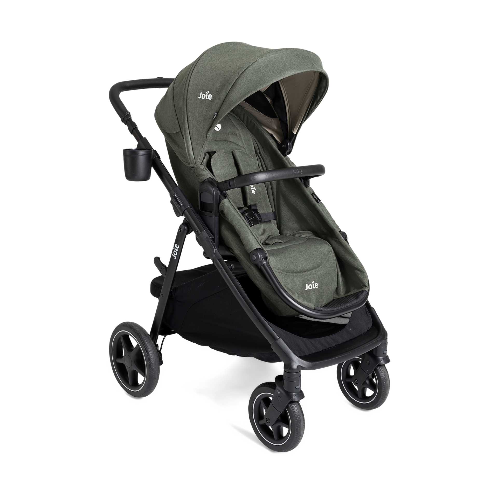 Thumbnail of Evergreen